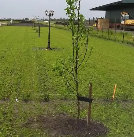 Kemping Camping Uitzicht Den Helder Den Helder